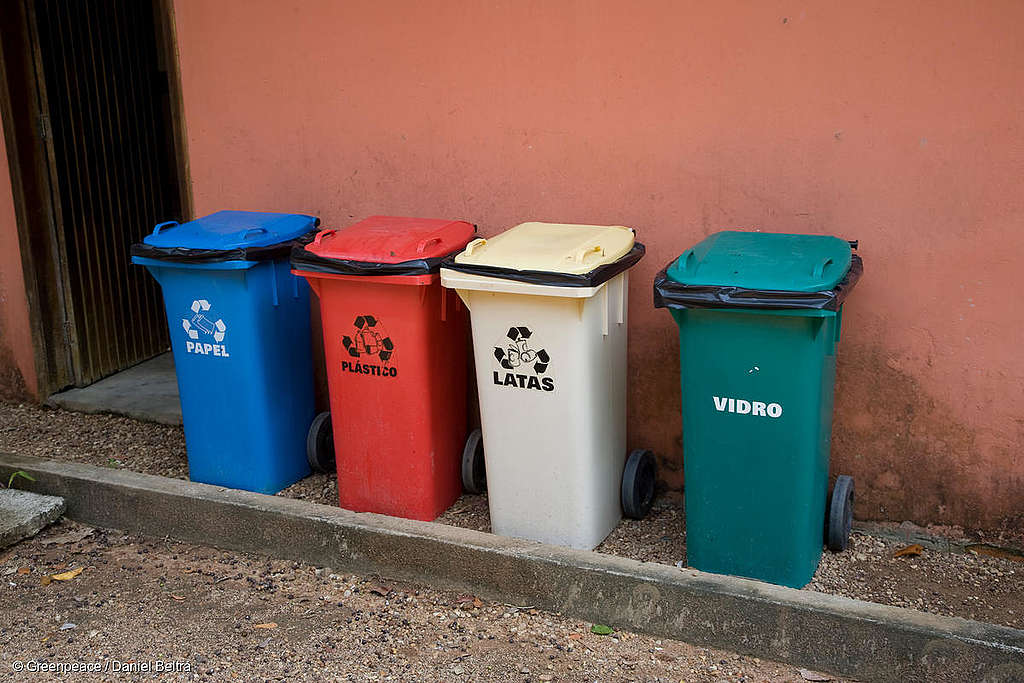 Cómo empezar a reciclar en casa? - Greenpeace Chile