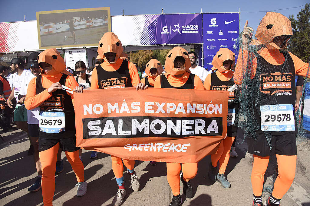 Un grupo de activistas de Greenpeace se presentó en la Maratón de Santiago de Chile para denunciar el avance de la industria salmonera en la Reserva Nacional Kawésqar en la Patagonia chilena.