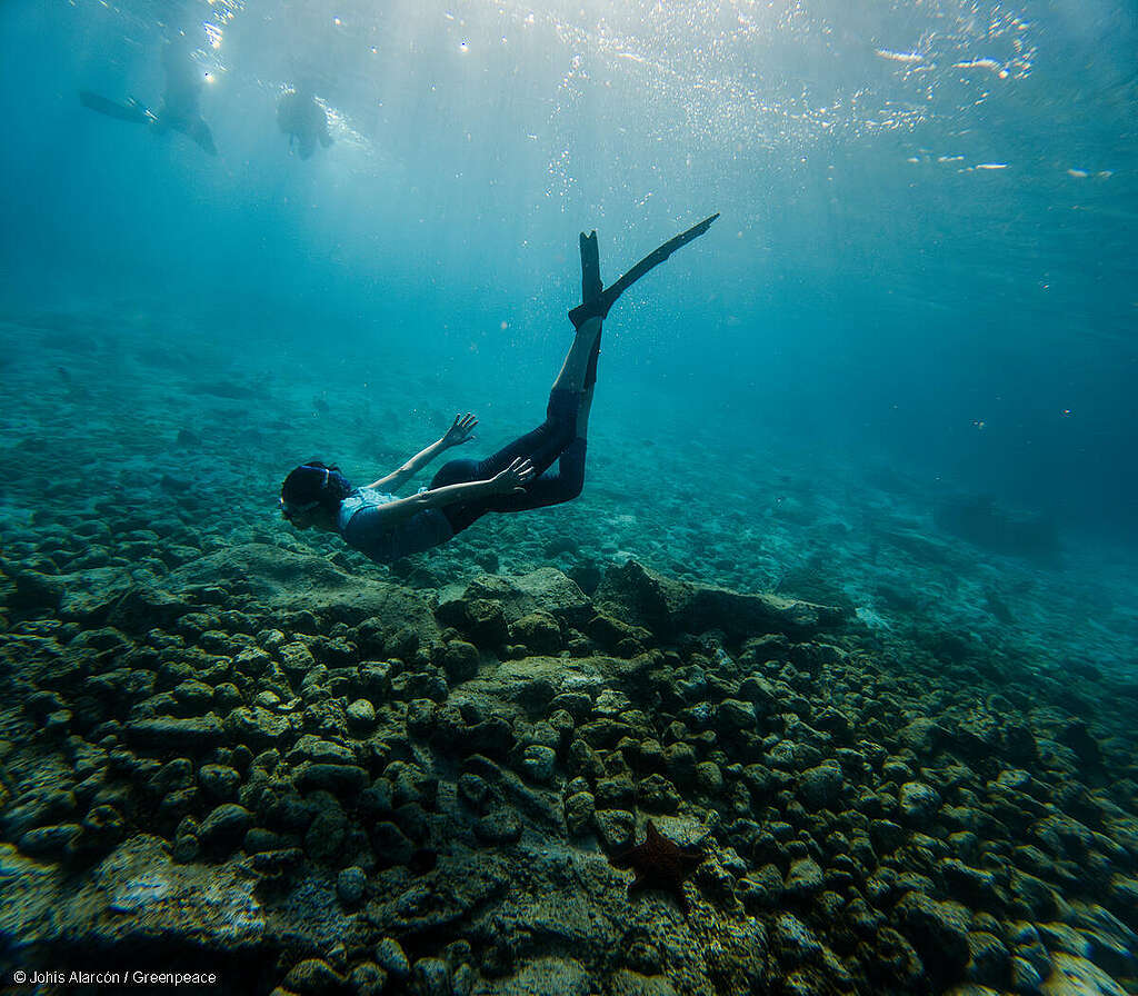 La actriz española Alba Flores hace snorkel en la isla Santiago, parte de las Islas Galápagos.
