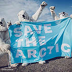 Activists dressed as polar bears show their support for the 'Save the Arctic' campaign on a rooftop in Helsinki. As international polling reveals that 74 percent of people worldwide support the creation of a protected sanctuary in the international waters surrounding the North Pole; climbers and mountaineers are ascending iconic mountain peaks and buildings all over the world, to demand that governments respond to the global outcry to make the creation of a protected Arctic Sanctuary a top priority.