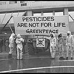 Greenpeace activists block the entrance to the Council of Ministers' building in Brussels with a pesticide-sprayer tractor in protest against moves to liberalise pesticide use in the EEC.