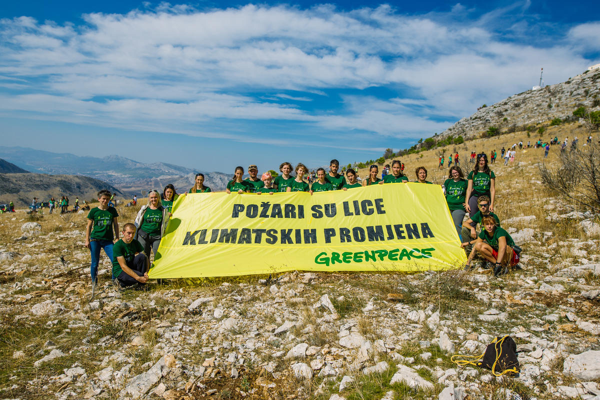 Reforestation Activity in Croatia. © Nevio  Smajic / Greenpeace