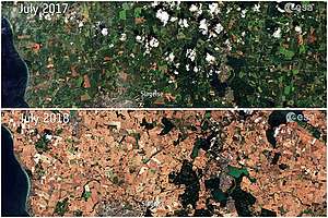 The European Space Agency released images from the Sentinel-2 satellite comparing a region in Denmark in July 2017 with the same spot this month.