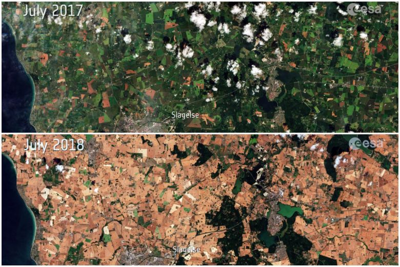 The European Space Agency released images from the Sentinel-2 satellite comparing a region in Denmark in July 2017 with the same spot this month.