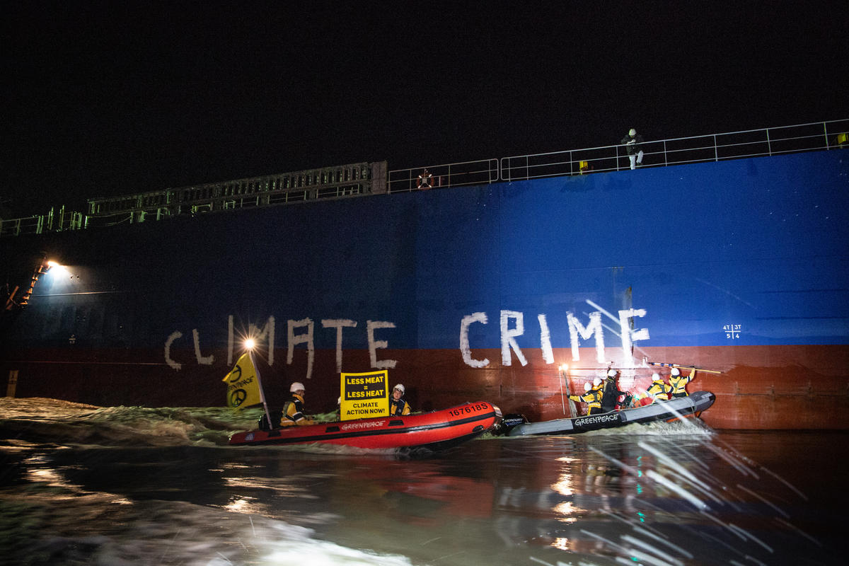 Protest against Ship with Soya Feed in Brake, Germany. © Maria Feck / Greenpeace