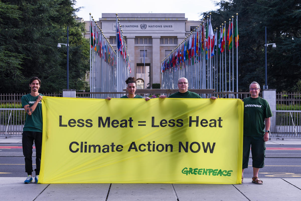 Action at IPCC Meeting in Geneva. © Demir Sönmez / Greenpeace