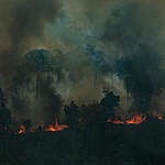 Forest Fires in Candeiras do Jamari, Amazon - Second Overflight (2019). © Victor Moriyama / Greenpeace