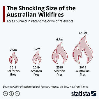 https://www.statista.com/chart/20387/recent-wildfire-events-by-acreage-burned/