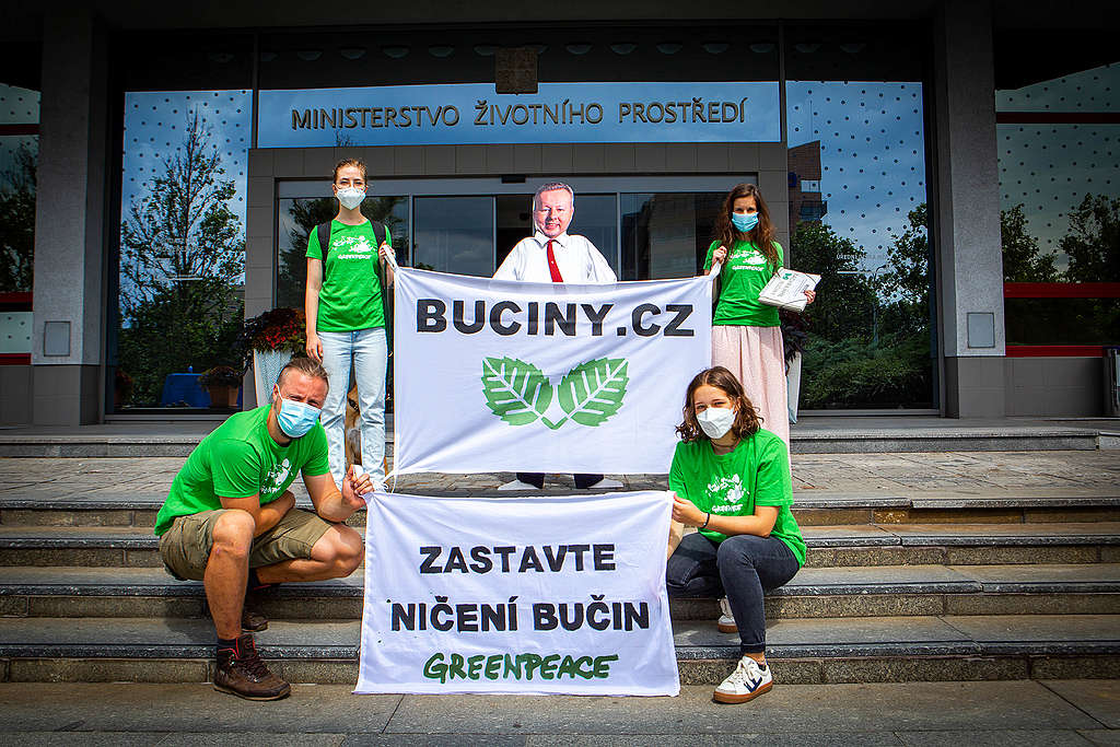 Greenpeace předalo MŽP petici za záchranu bučin v Krušných horách.  Podepsalo ji přes 10 tisíc lidí - Greenpeace Česká republika