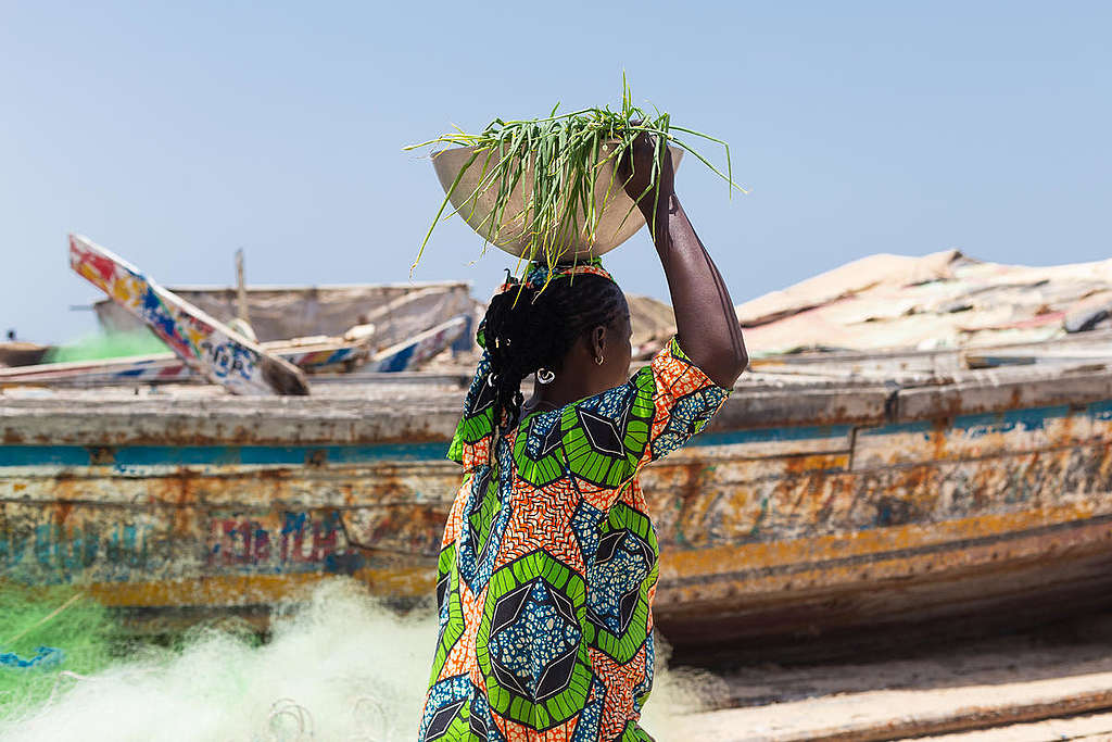 Everyday life in the Fishing Village of Fass Boye, Senegal. © Elodie Martial / Greenpeace