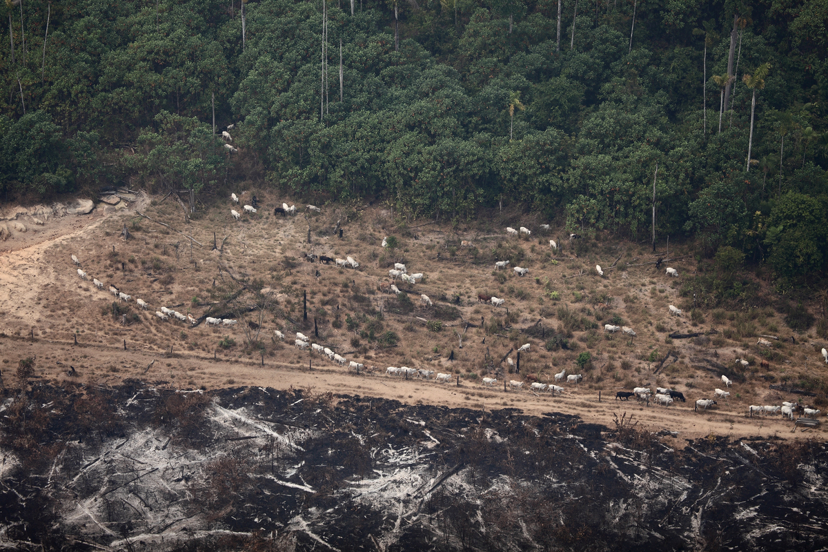 Burning in Amazon for Agriculture. © Rodrigo Baléia / Greenpeace © Rodrigo Baléia / Greenpeace