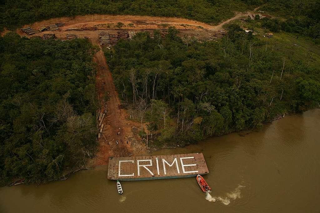 Amazon Tour Arctic Sunrise in Brazil. © Greenpeace / Daniel Beltrá