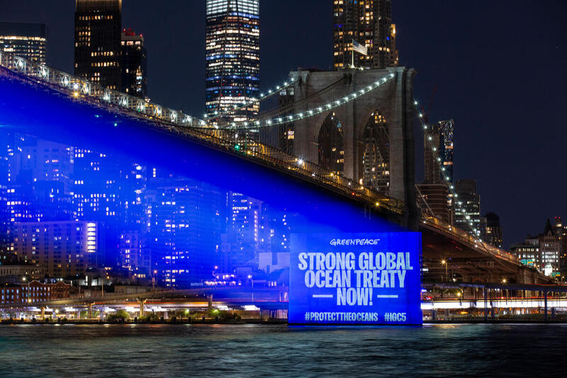 billede af projektion på Broklyn brdige i New York med teksten "Strong Ocean Treaty Now!"