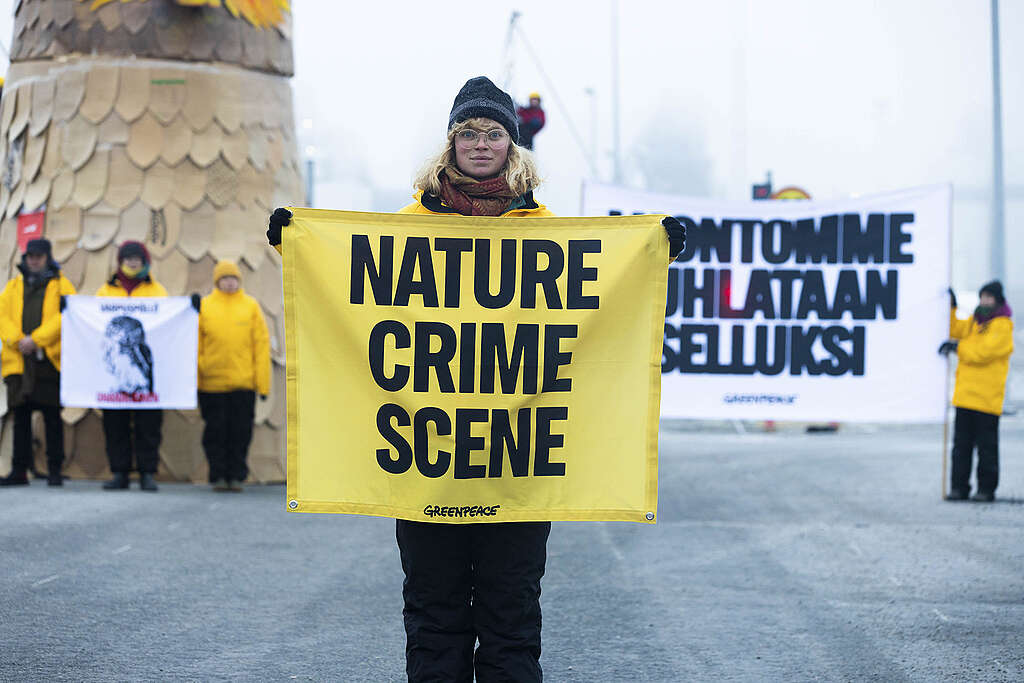 Greenpeace-aktivist i protest mod finsk skovdrift