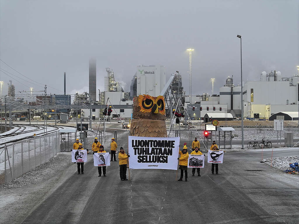 Greenpeace-aktion imod finsk skovdrift