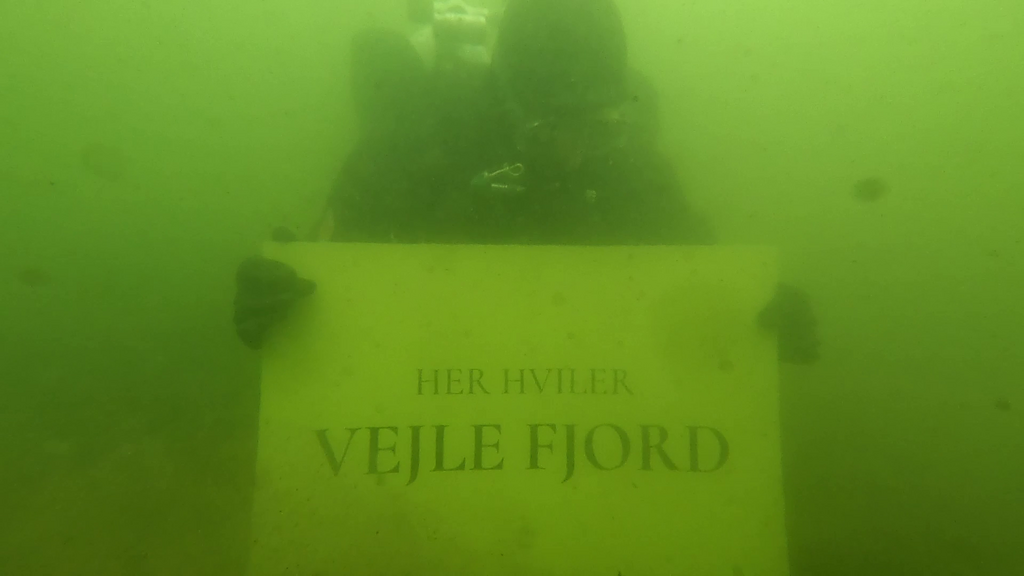 Dykkere i Vejle Fjord