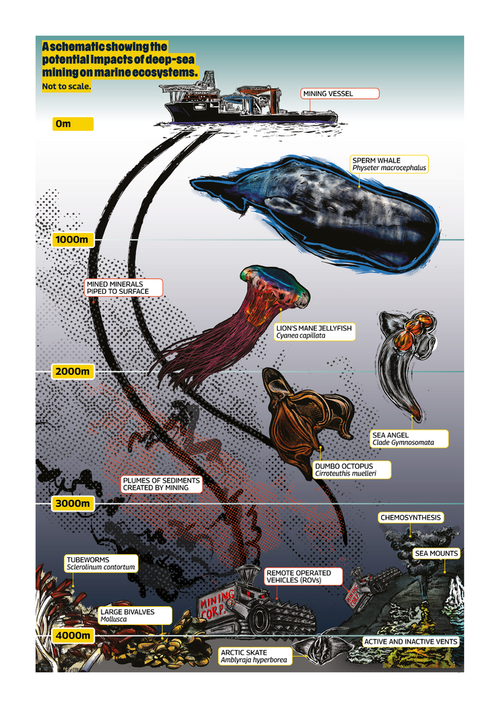 Illustrationen viser de potentielle konsekvenser af minedrift på havbunden. © Greenpeace