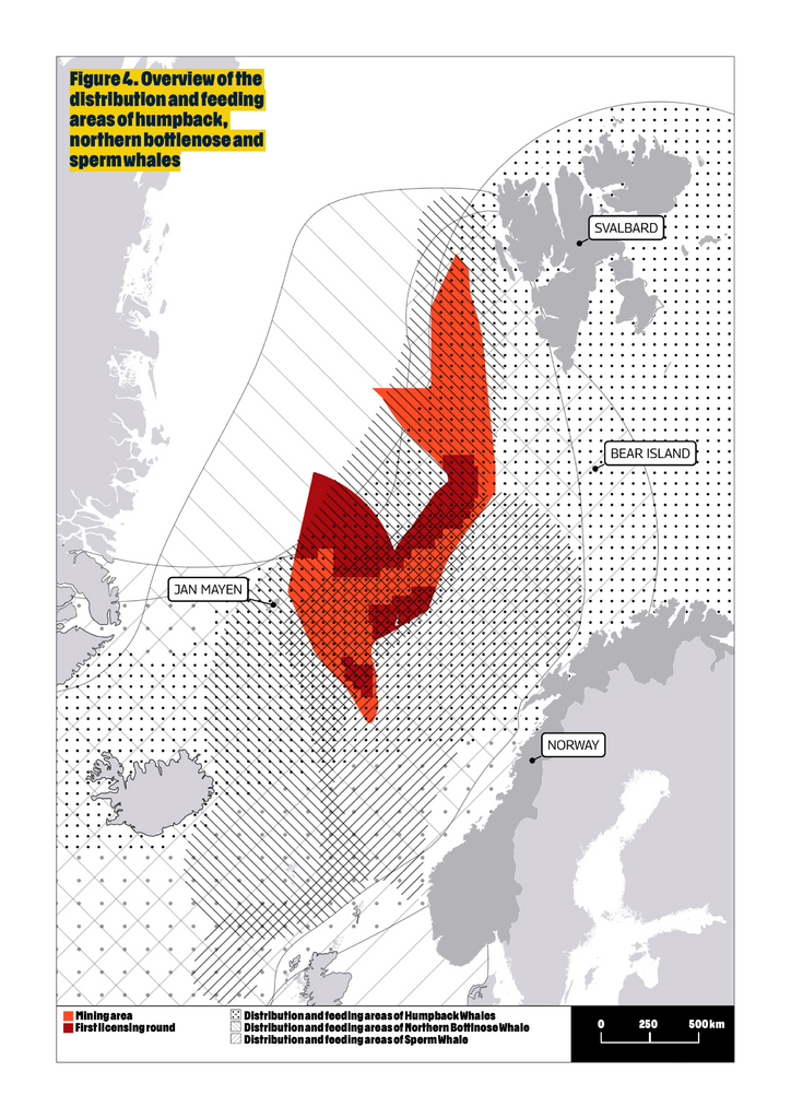 Billedtekst: Illustrationen viser fordelingen af kaskelothvaler, pukkelhvaler og nordlige døglinge i det område, hvor der er planlagt minedrift. © Greenpeace