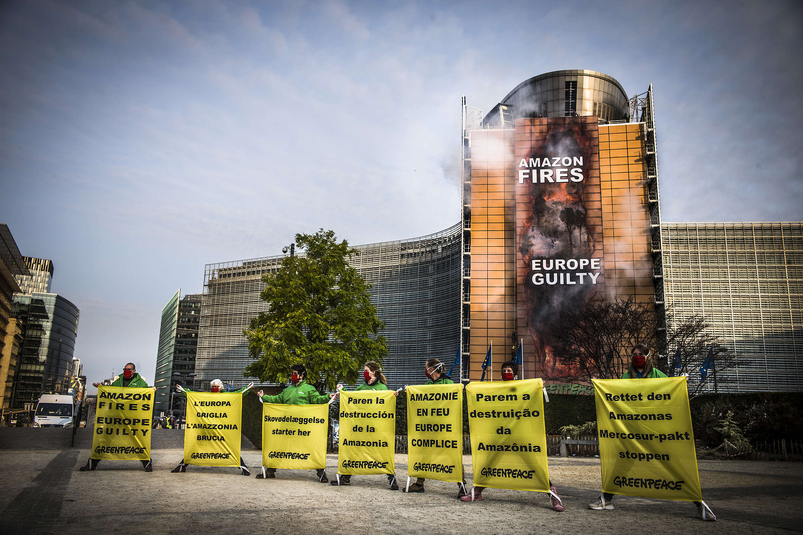 EU parliament votes to take forest destruction off supermarket shelves -  Greenpeace European Unit
