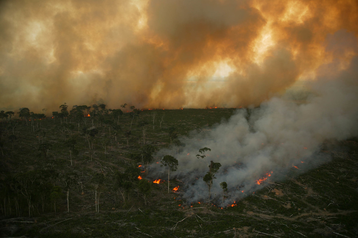 Burning Amazon Rainforest in Brazil. © Greenpeace / Daniel Beltrá