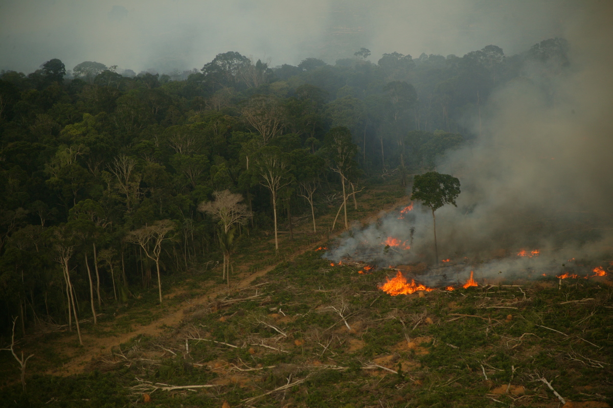 Burning Amazon Rainforest in Brazil. © Greenpeace / Daniel Beltrá
