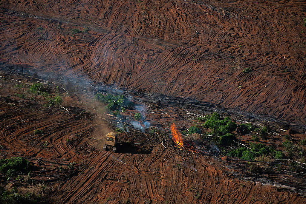 Deforestation and Fire Monitoring in the Amazon in July, 2020. © Christian Braga / Greenpeace