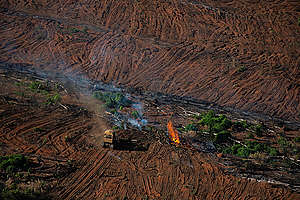 Metsäpaloja Amazonilla 2020