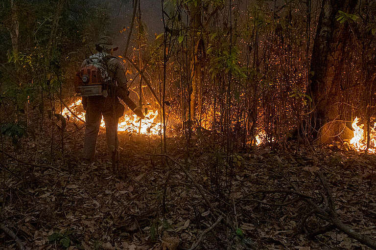 Palomies Pantanalin suiston metsäpaloalueella syyskuussa 2020