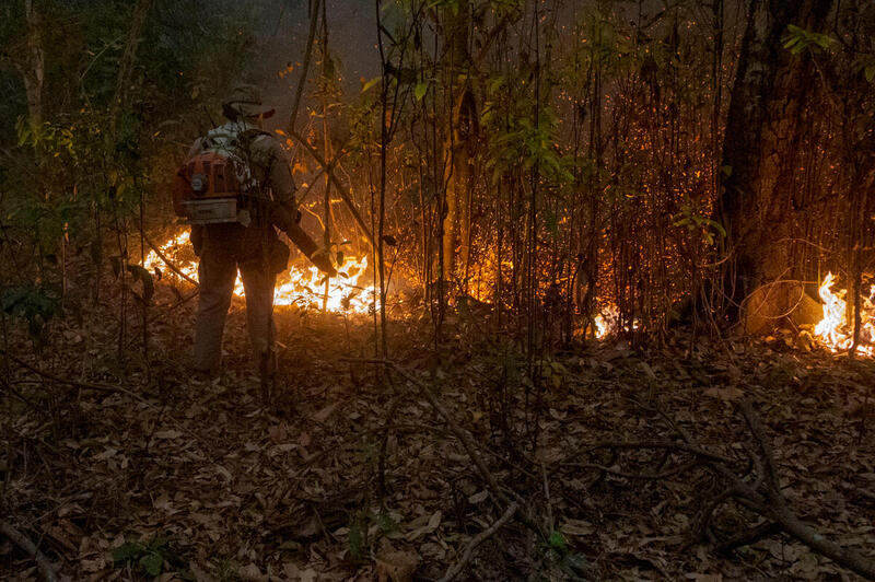 Palomies Pantanalin suiston metsäpaloalueella syyskuussa 2020