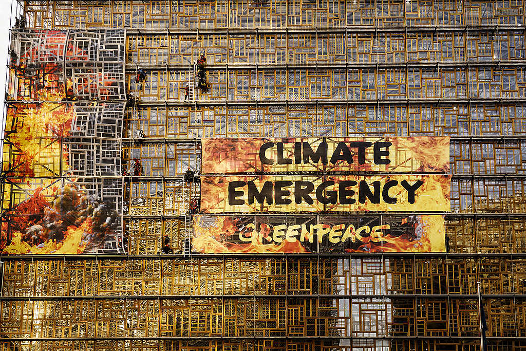 Greenpeacen aktivistit talon seinällä ripustamassa banderolleja, joista toisessa lukee "climate emergency"