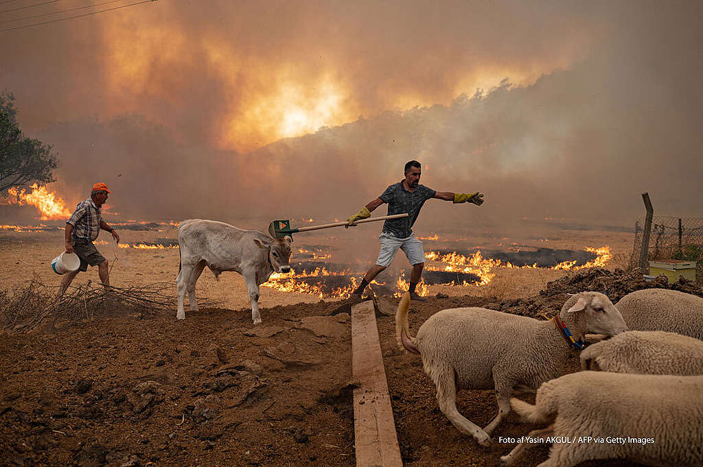Ilmastonmuutos photo by YASIN AKGUL/AFP via GettyImages