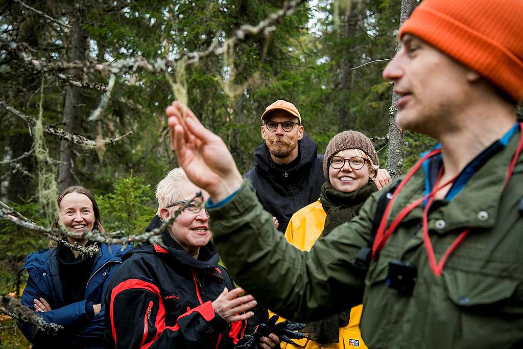 Metsäkartoittaja esittelee indikaattorilajia ihmisille vanhassa metsässä.