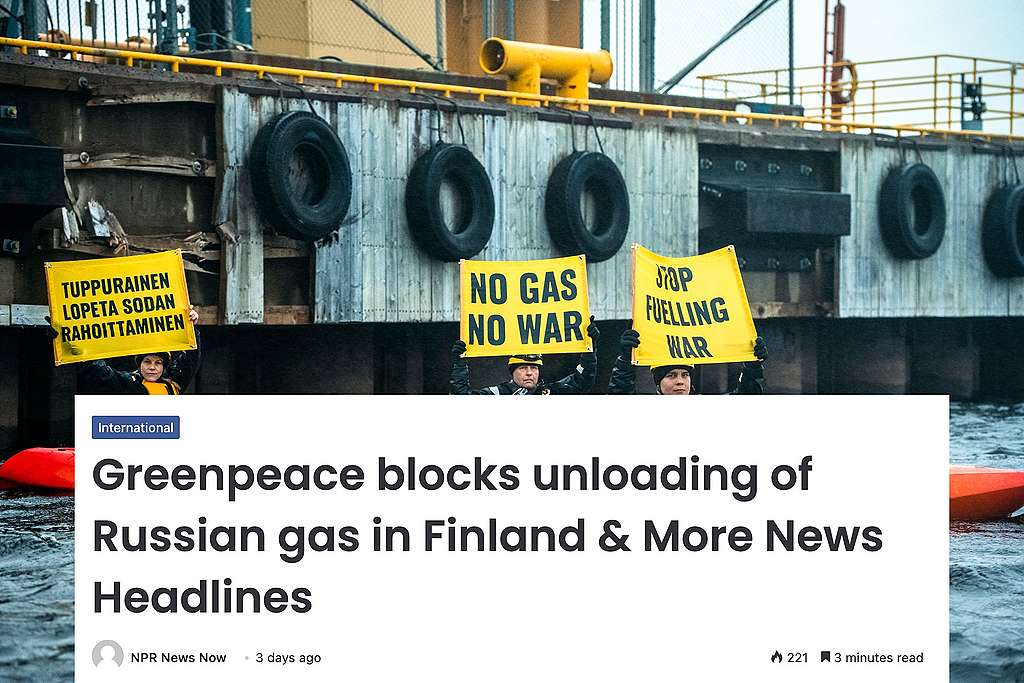 Greenpeacen aktivisteja Torniossa kajakeilla estämässä venäläisen kaasulaivan rantautumista. Aktivistein banderolleissa lukee esimerkiksi "no gas, no war" sekä "stop fuelling war". Kuvassa näkyy myös npr news nown uutisotsikko "Greenpeace blocks unloading of Russian gas in Finland".