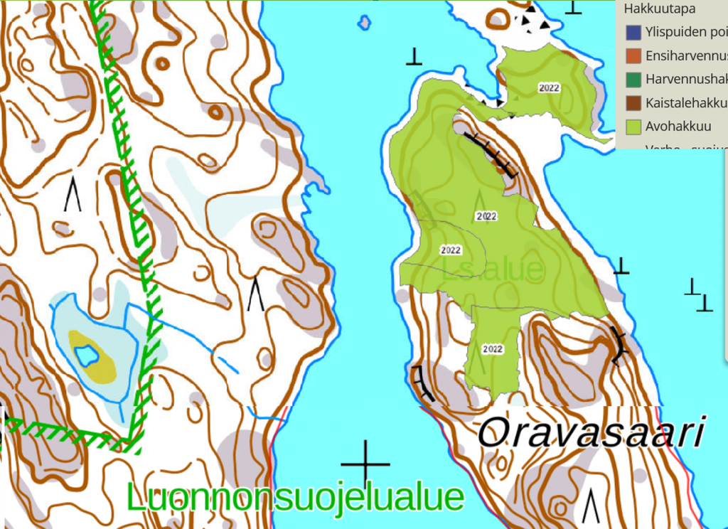 Maastokarttakuva, jossa näkyy Oravasaaren ympäristöä. Kartan mukaan Oravasaarella on tehty laaja avohakkuu. 