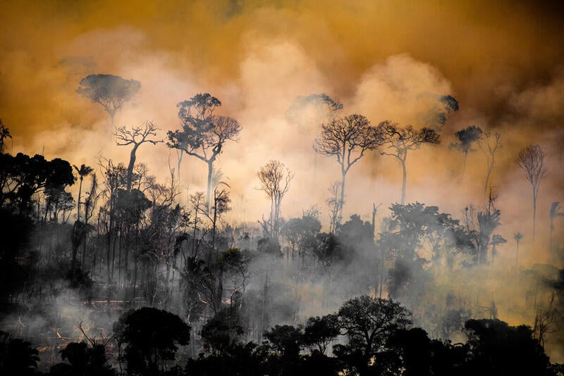 Deforestation and Fire Monitoring in the AmazonMonitoramento de Desmatamento e Queimadas na Amazônia em Agosto de 2020