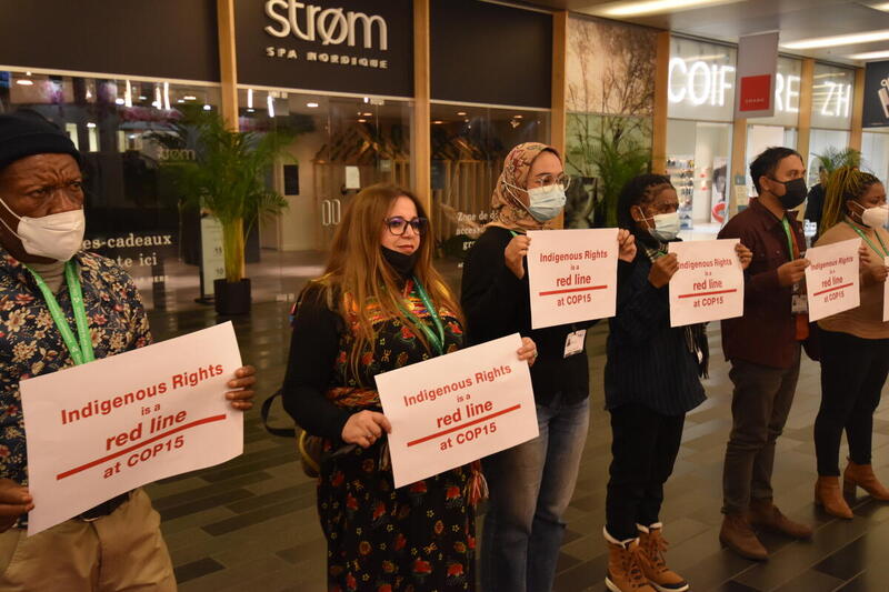 Mielenosoittajia osoittamassa mieltään alkuperäiskansojen puolesta YK:n ympäristökokouksessa Montrealissa. Mielenosoittajilla on kylttejä, joissa lukee "Indigenous rights is a red line at COP15".
