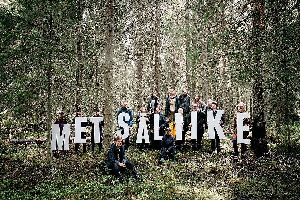 Metsäliikkeen aktivisteja luonnonmetsässä Evolla. Aktivistit pitelevät kirjainkylttejä, joista muodostuu sana "metsäliike".