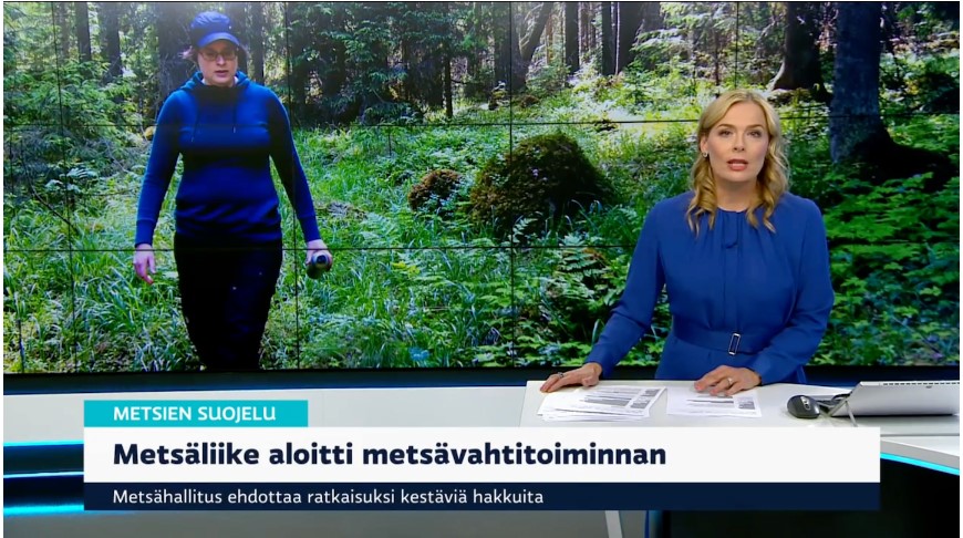 Kuvakaappaus Ylen uutislähetyksestä. Uutislähetyksessä mainitaan, että Metsäliike aloitti metsävahtitoiminnan ja että Metsähallitus ehdottaa ratkaisuksi kestäviä hakkuita.