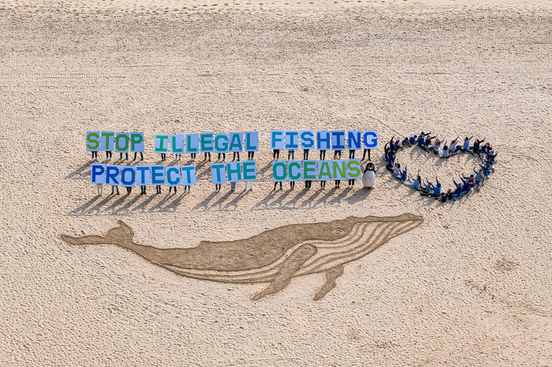 Kuvassa on hiekkaan piirretty valas, ihmisiä, jotka istuvat sydämen muodossa sekä ihmisiä pitämässä kirjainkylttejä, jotka muodostavat lauseet "STOP ILLGEGAL FISHING" ja "PROTECT THE OCEANS".
