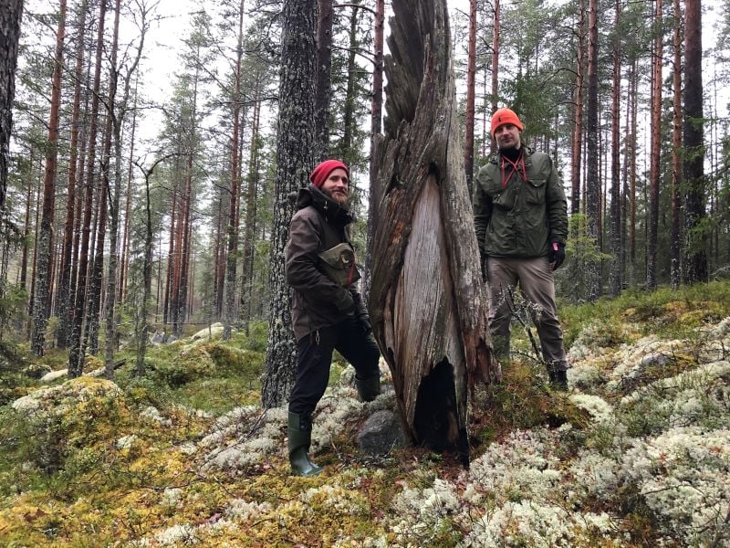 Luonnonmetsä-työryhmän kartoittajat Joni-Matti Kusmin ja Ari Aalto löytämässään luonnonmetsässä Äänekoskella.