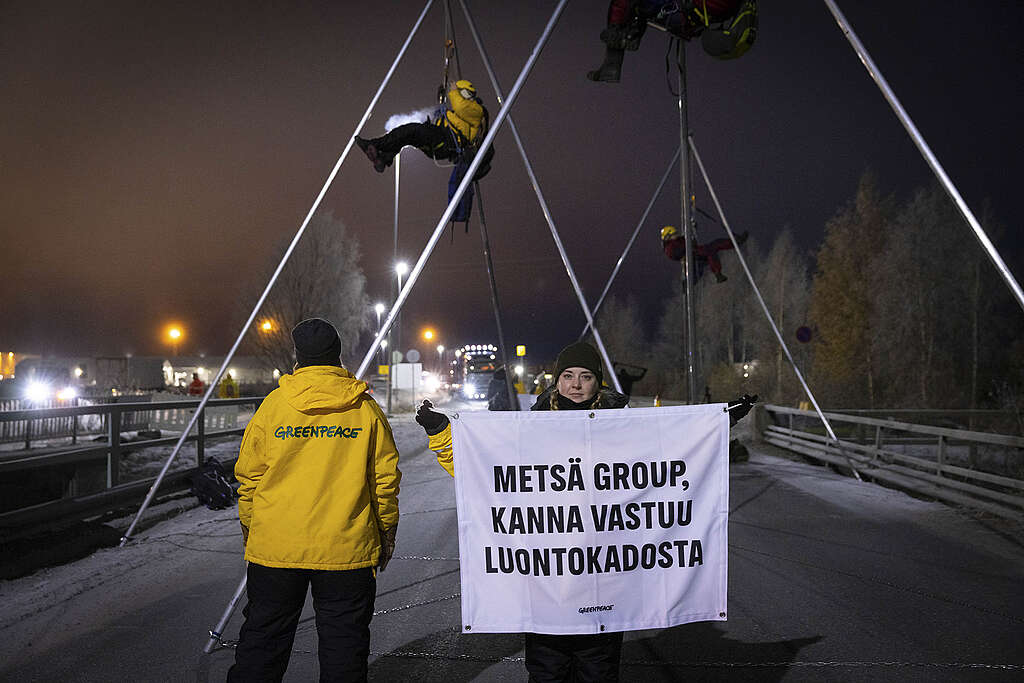 Greenpeacen aktivisteja Metsä Groupin sellutehtaalla Kemissä 25.10.