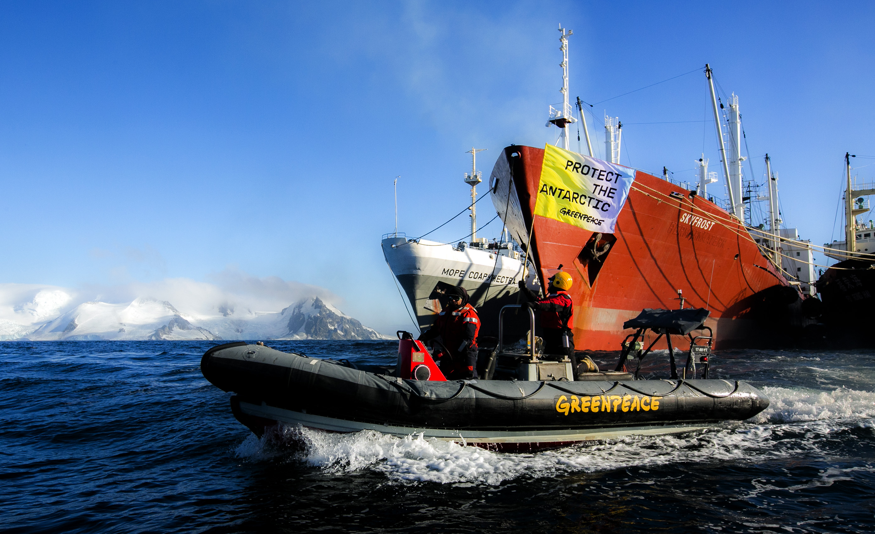 Ακτιβιστές αντιμέτωποι με αλιευτικά σκάφη κριλ για την προστασία της  Ανταρκτικής - Greenpeace Ελλάδα