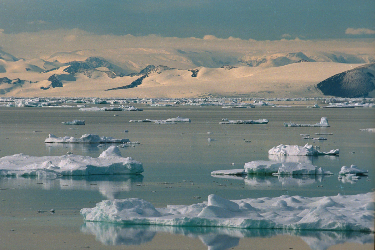 Ice forms in Weddell Sea. © Steve Morgan