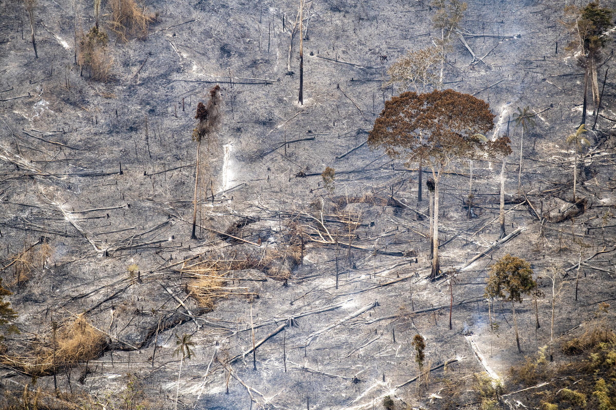 Forest Fires Aftermath in Brazilian Amazon. © Daniel Beltrá / Greenpeace