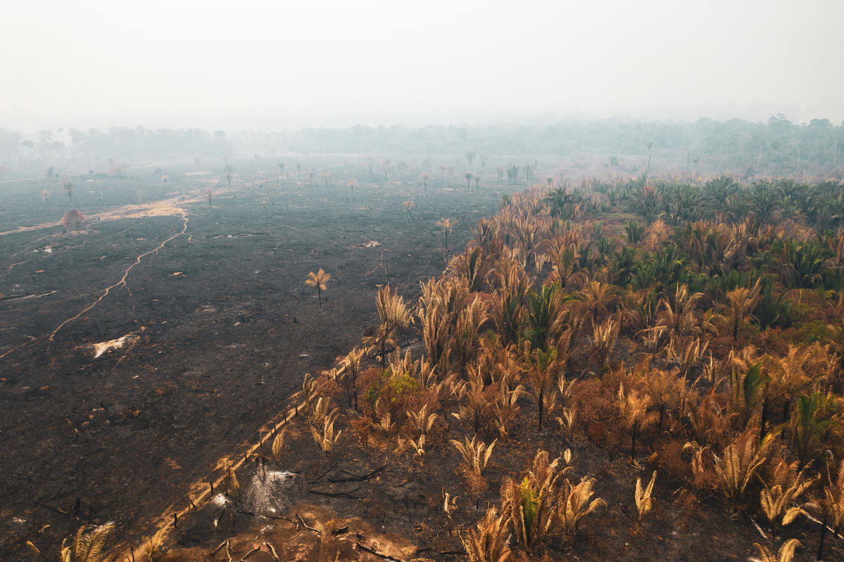 Forest Fires in the Amazon, Rondônia state, Brazil, (2019). © Fernanda Ligabue / Greenpeace