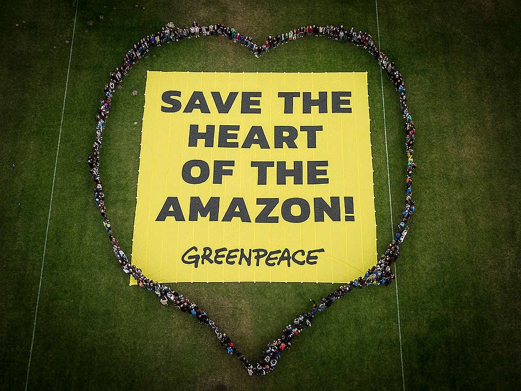 Save the Heart of the Amazon! Banner. © Greenpeace