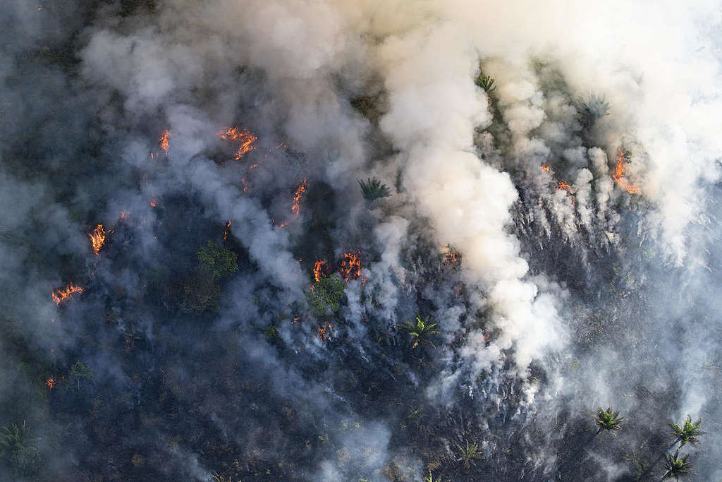 Forest Fires in Brazilian Amazon. © Daniel Beltrá / Greenpeace