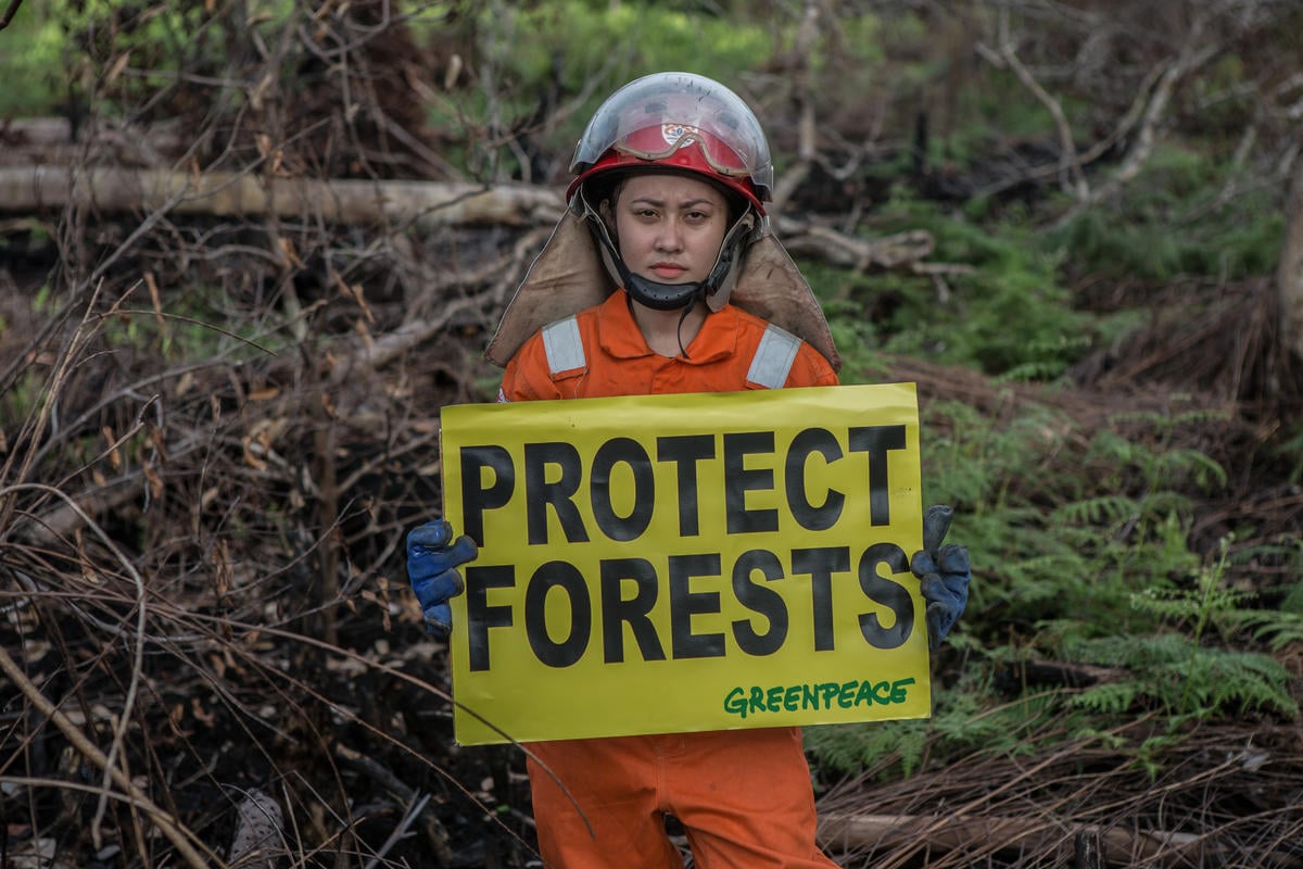 Save the Forest Stop Fires Photo Op in West Kalimantan. © Rendra Hernawan / Greenpeace