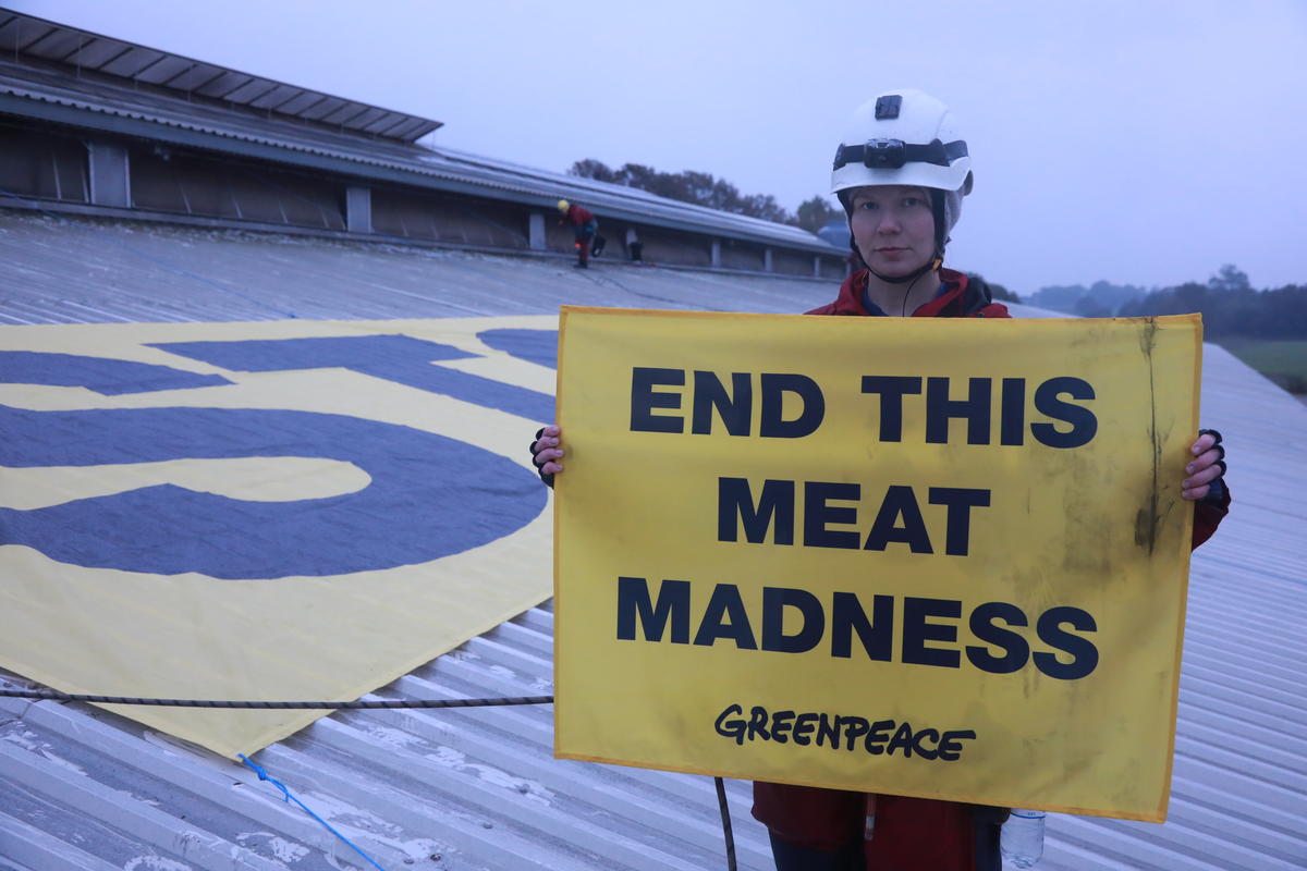 End this Meat Madness Protest in Denmark. © Kristian Buus / Greenpeace