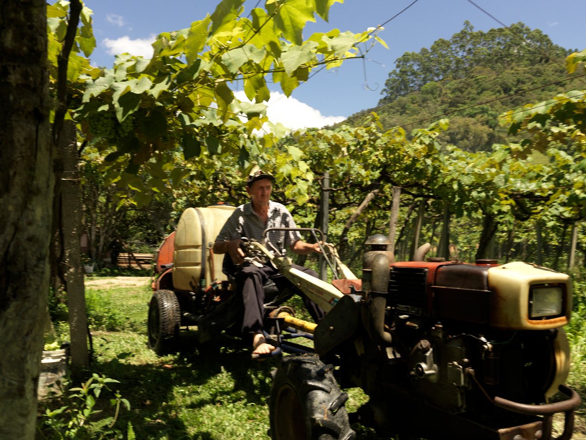 Ecological Farmers in Brazil. © Peter Caton / Greenpeace